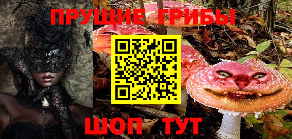Мценск  Псилоцибиновые грибы Psilocybe  Вход с VPN  Галлюциногенные грибы ЛСД 