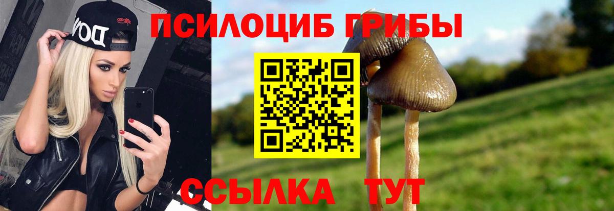 Меф МЯУ МЯУ   НБОМе  ГАШИШ  Магазин наркотиков  Бошки Шишки  Кокаин  Вход с VPN  Мценск  Гашиш 